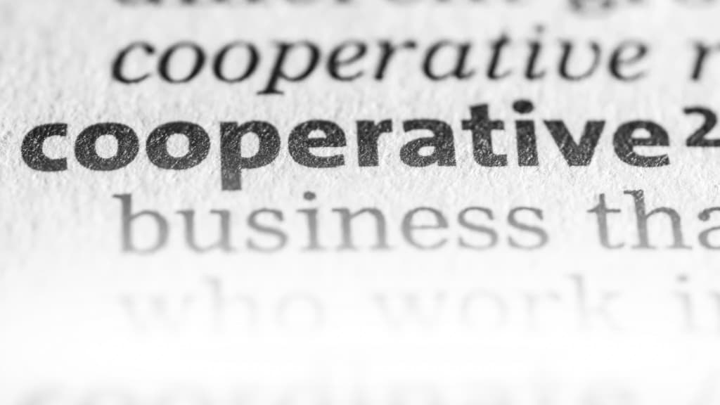 Kooperatiflerde Zihinsel Sermaye: Çeşitlilik, Etkileşim ve Sürdürülebilirlik