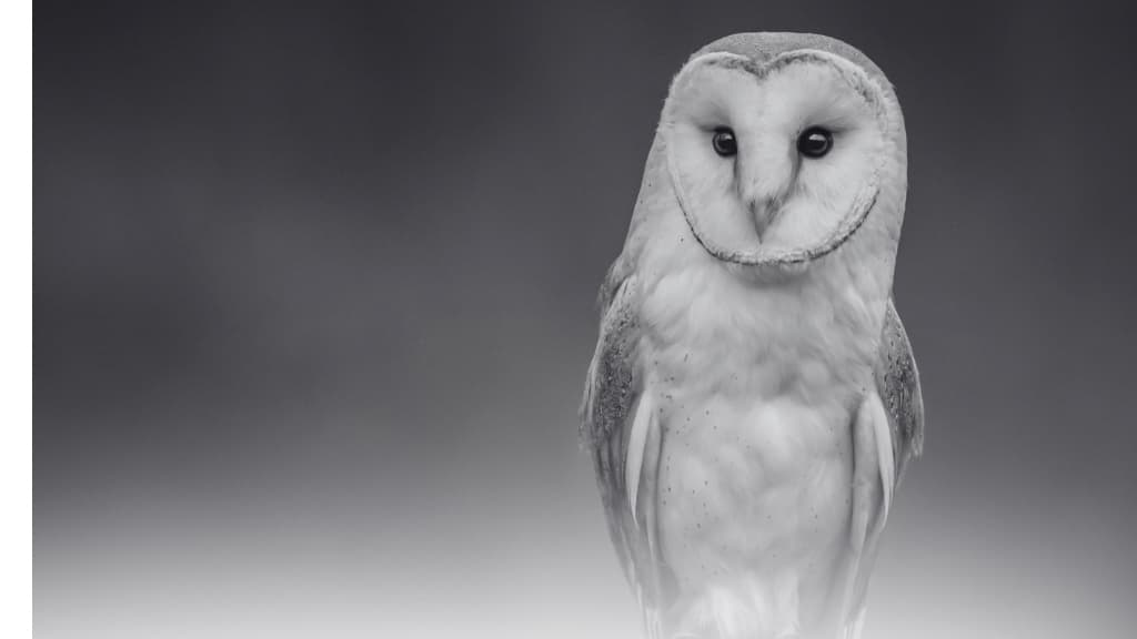 Stratejik Farkındalığın Sembolü